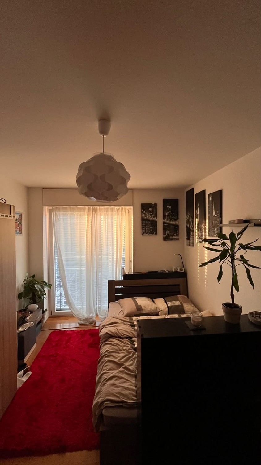 Room in a shared flat