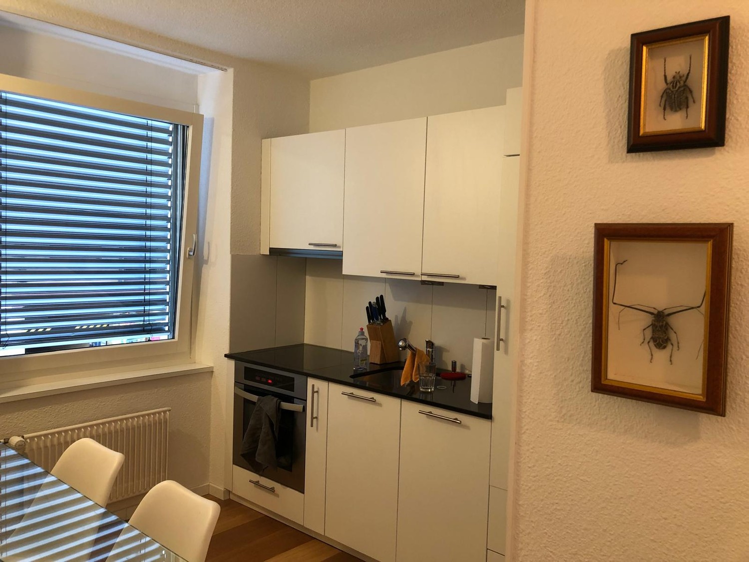 1-Zimmer-Wohnung