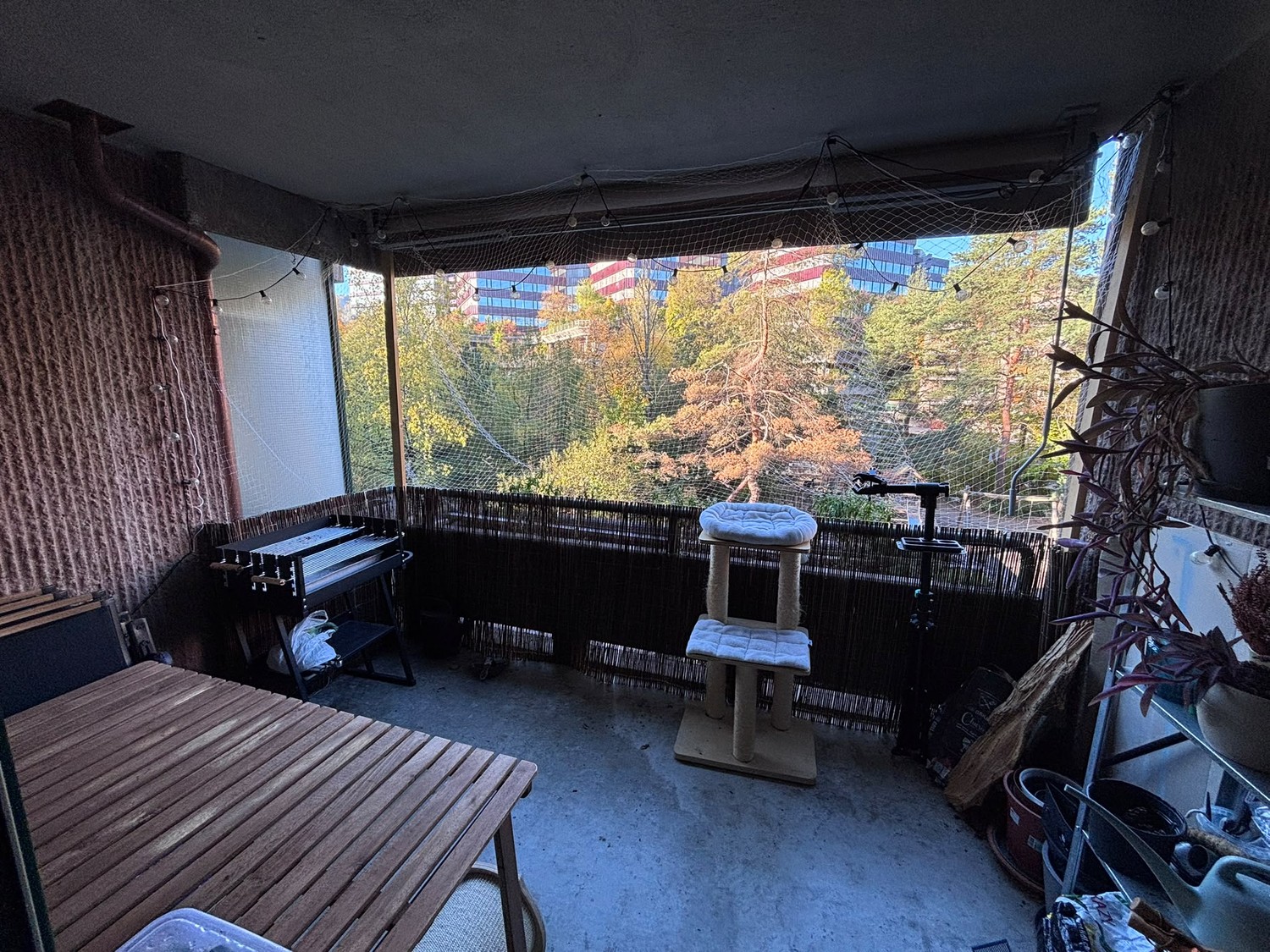 2 ½ rooms apartment, photo 4 of 10