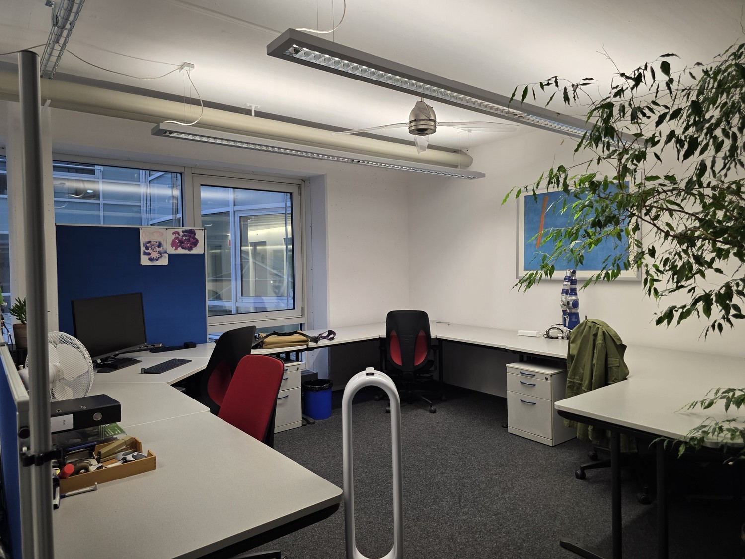 146m² commercial