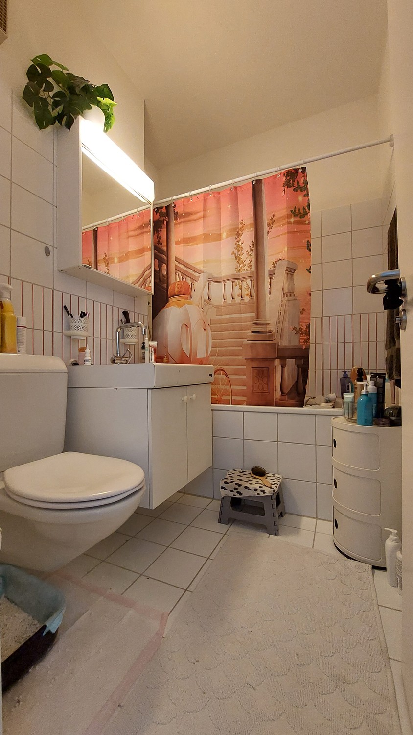 Appartamento di 2 ½ locali