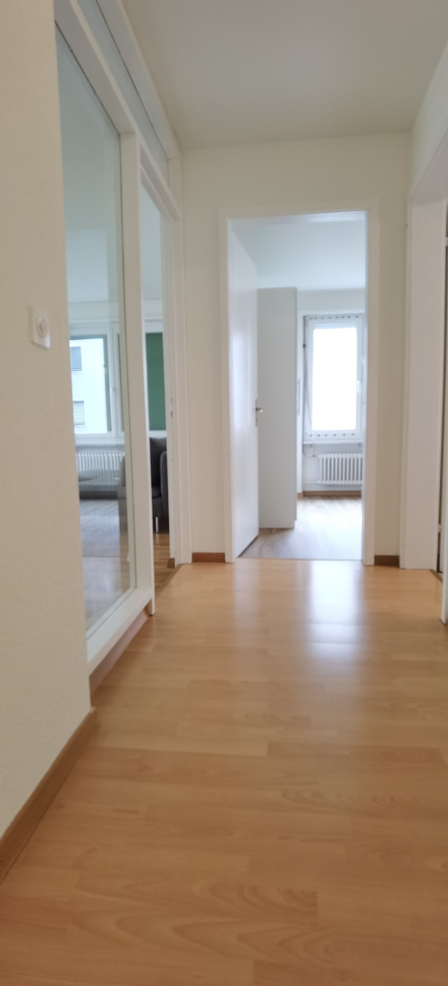 Room in a shared flat