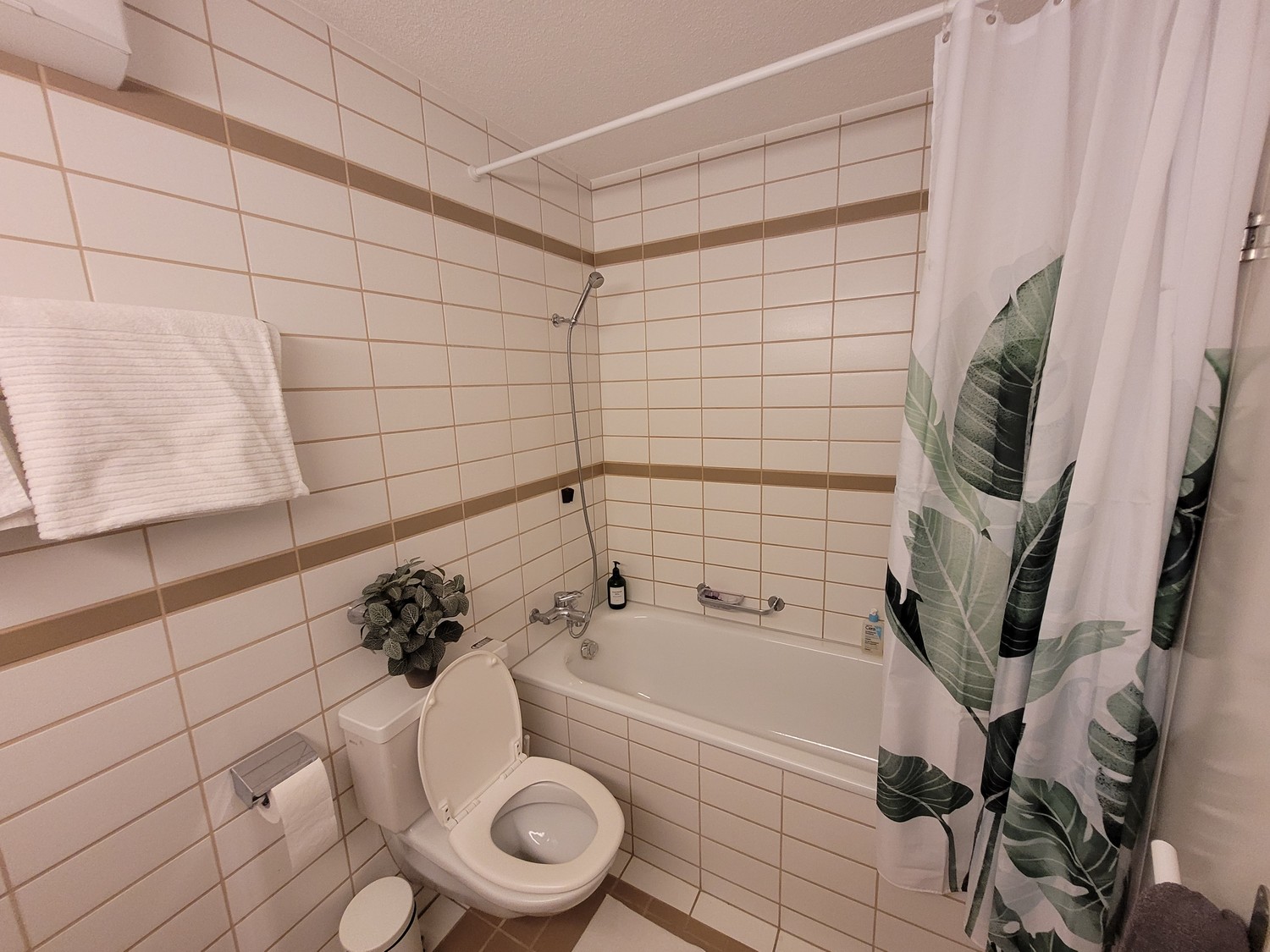 2 ½ rooms apartment