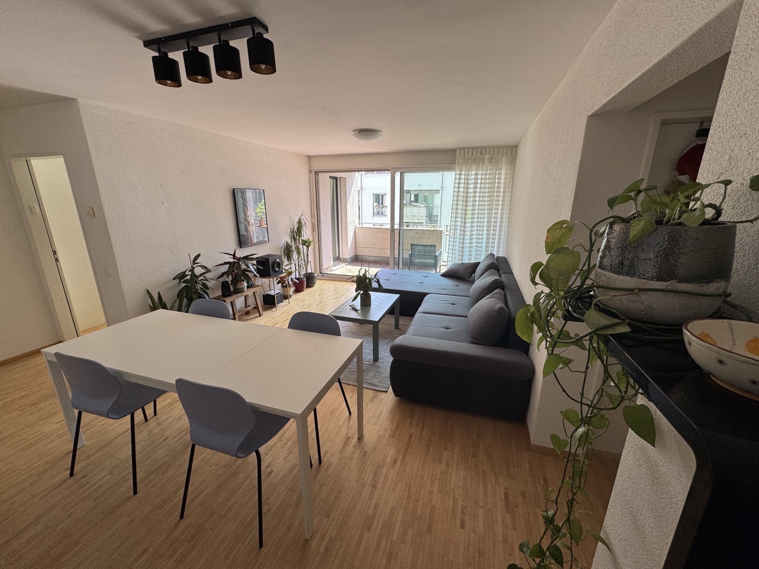 Room in a shared flat