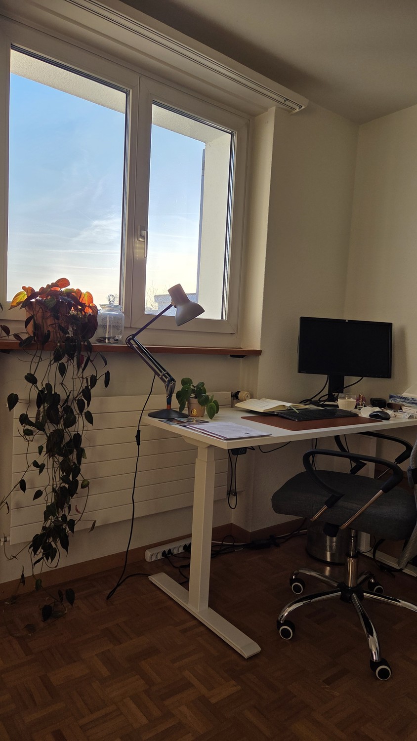 3 rooms apartment