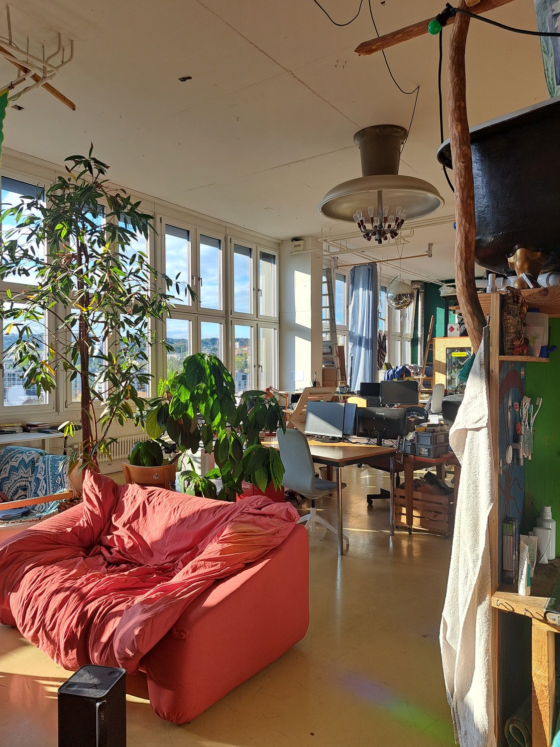 Room in a shared flat