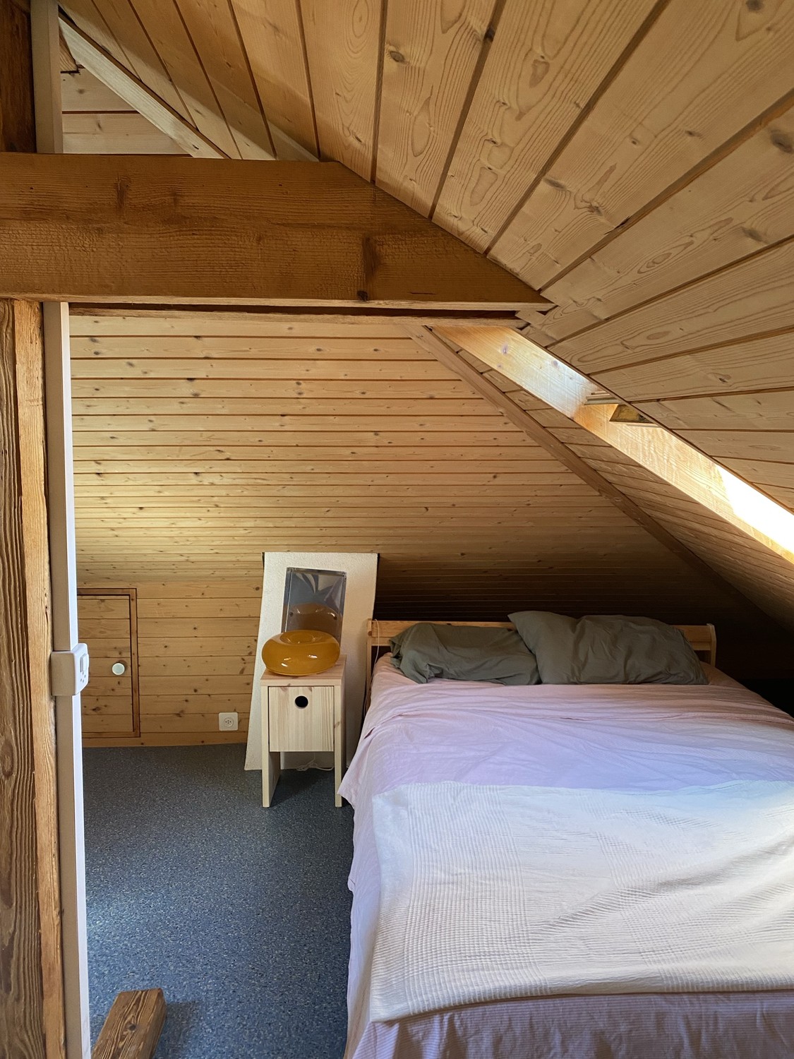 Room in a shared flat