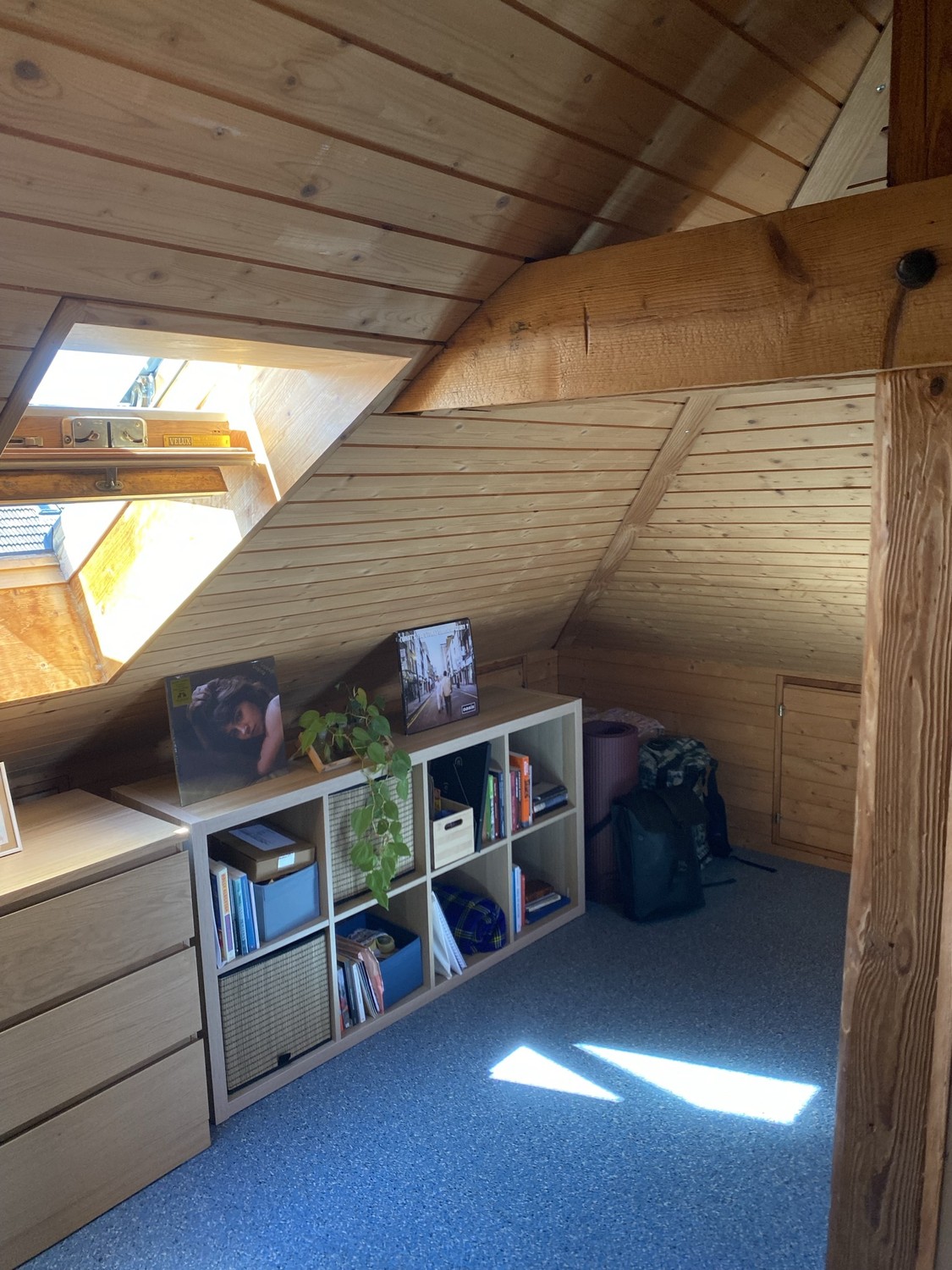 Room in a shared flat