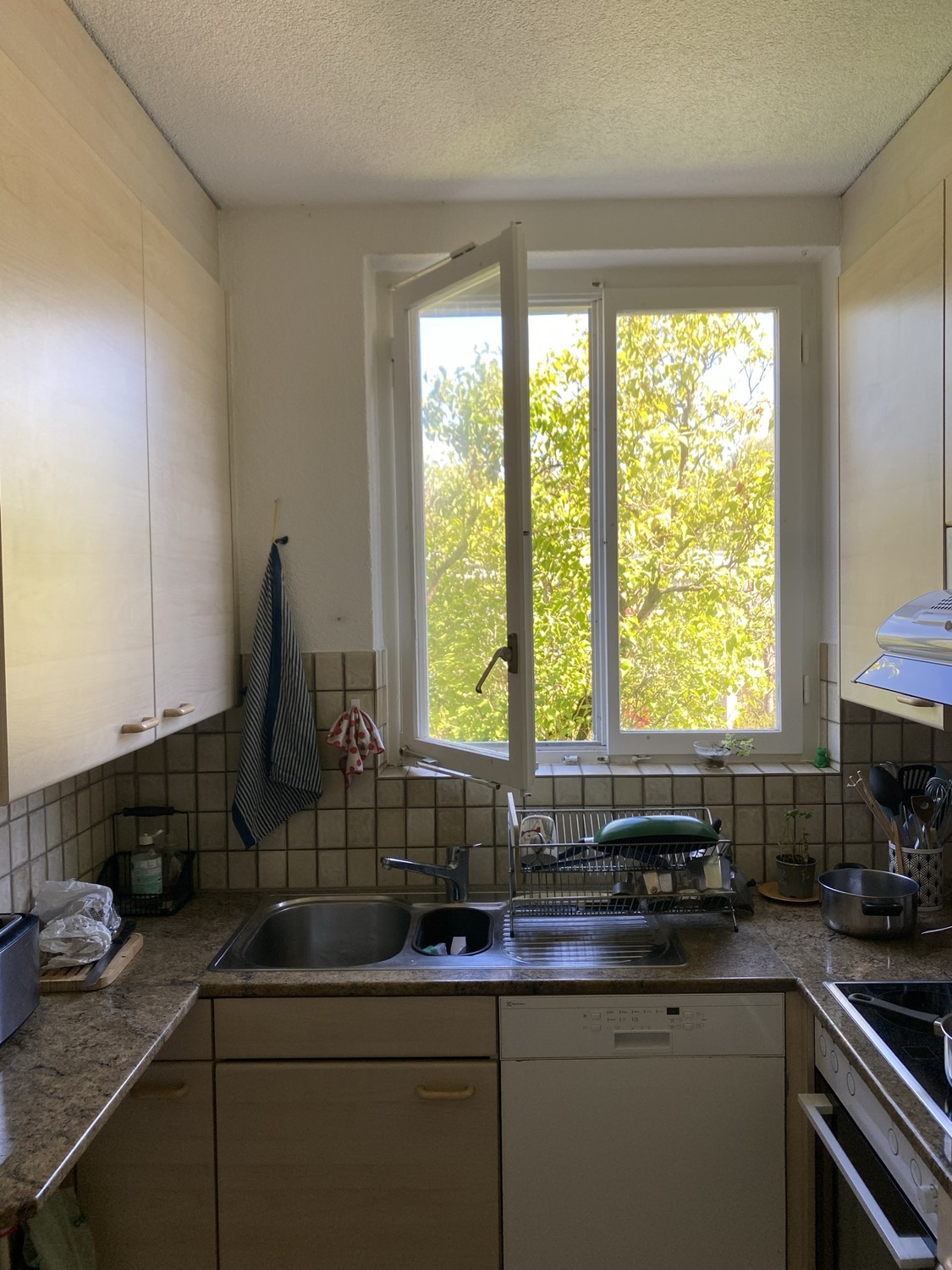 Room in a shared flat