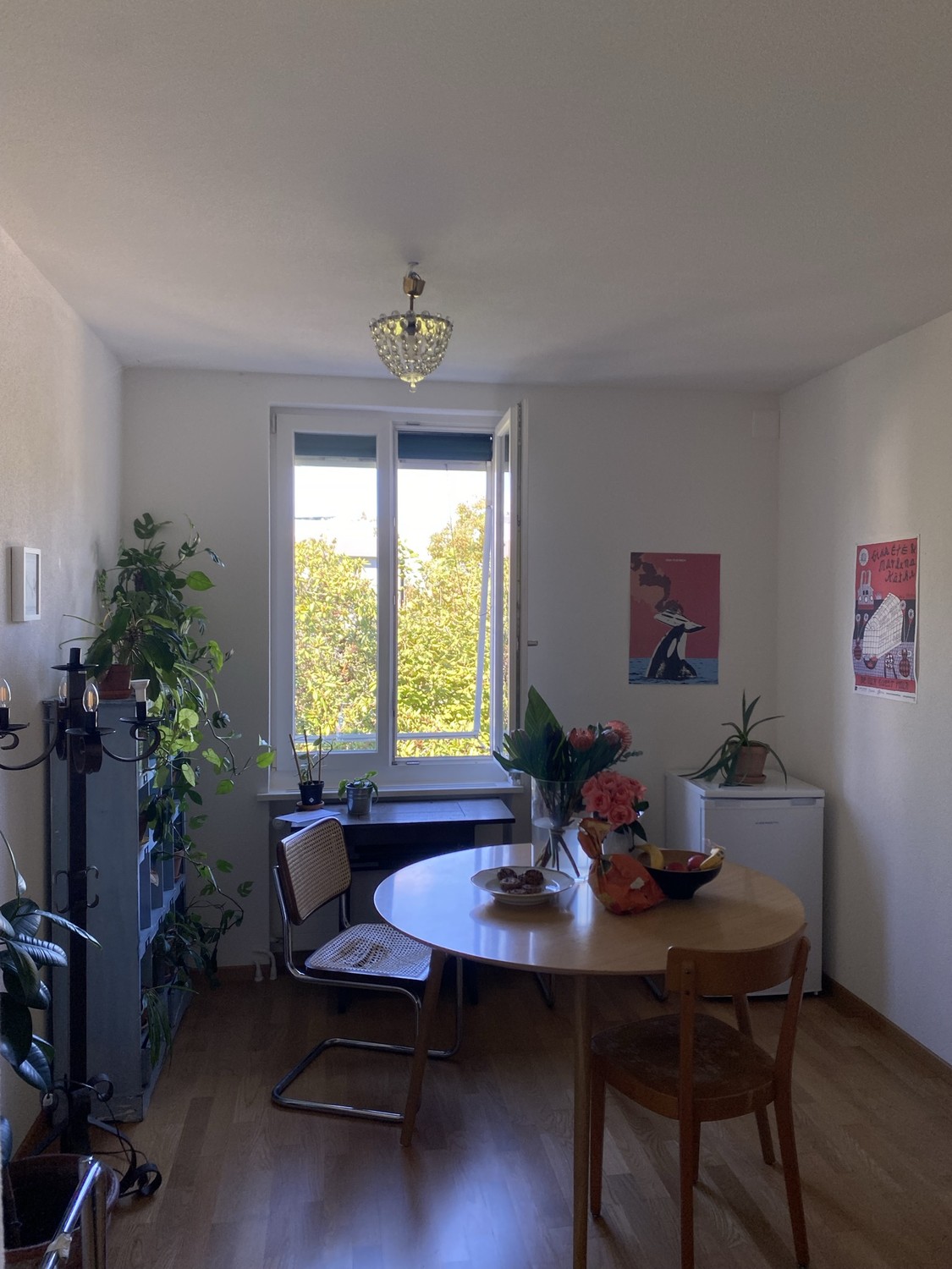 Room in a shared flat