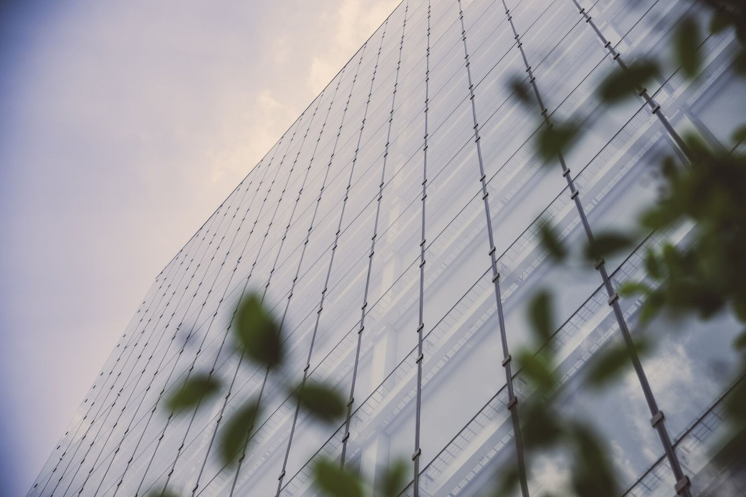 481m² office