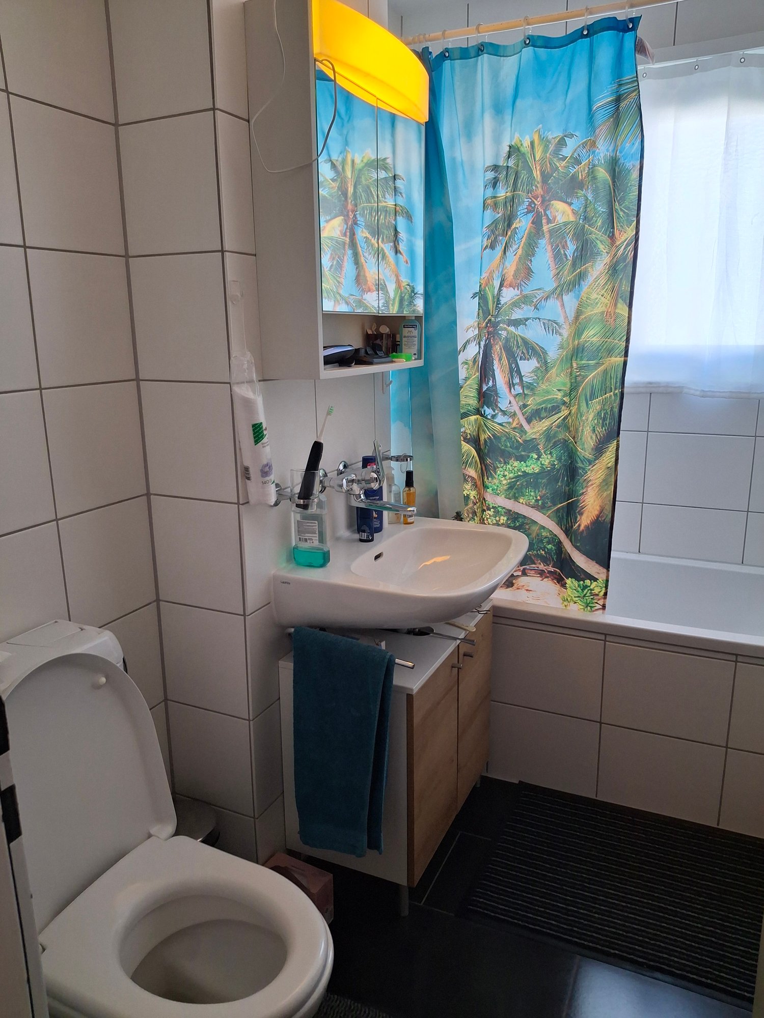 Room in a shared flat