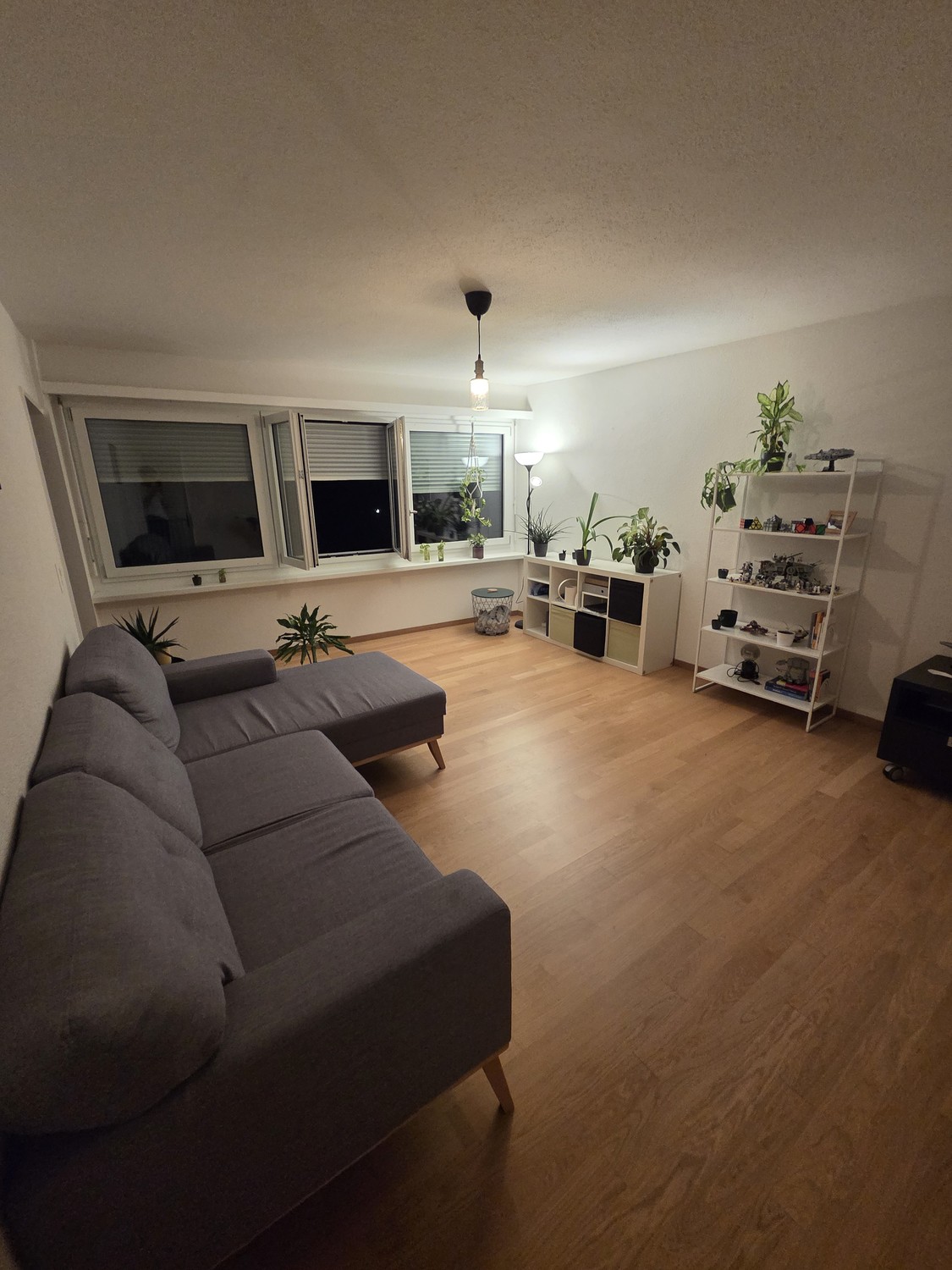 Room in a shared flat