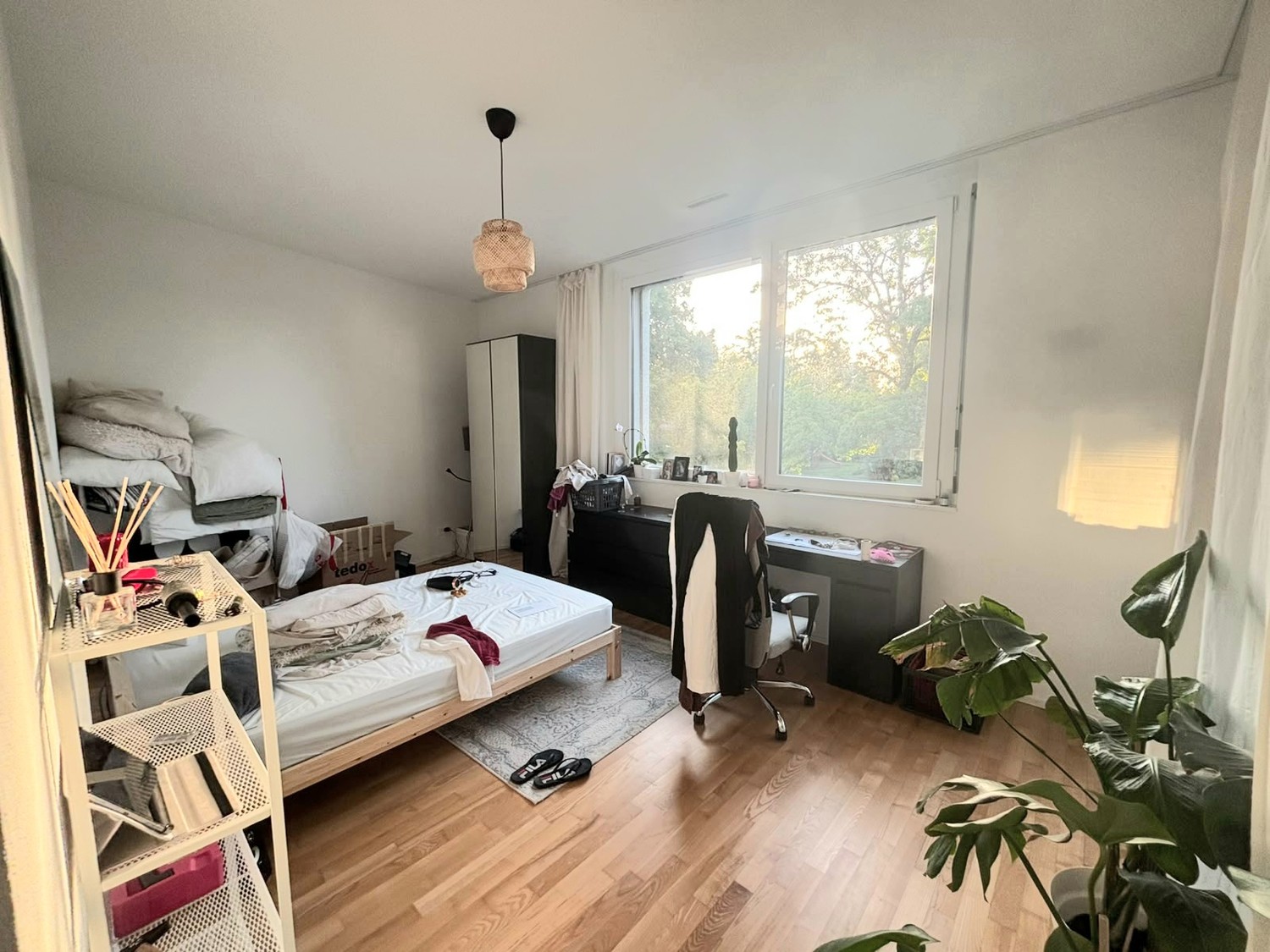 Room in a shared flat