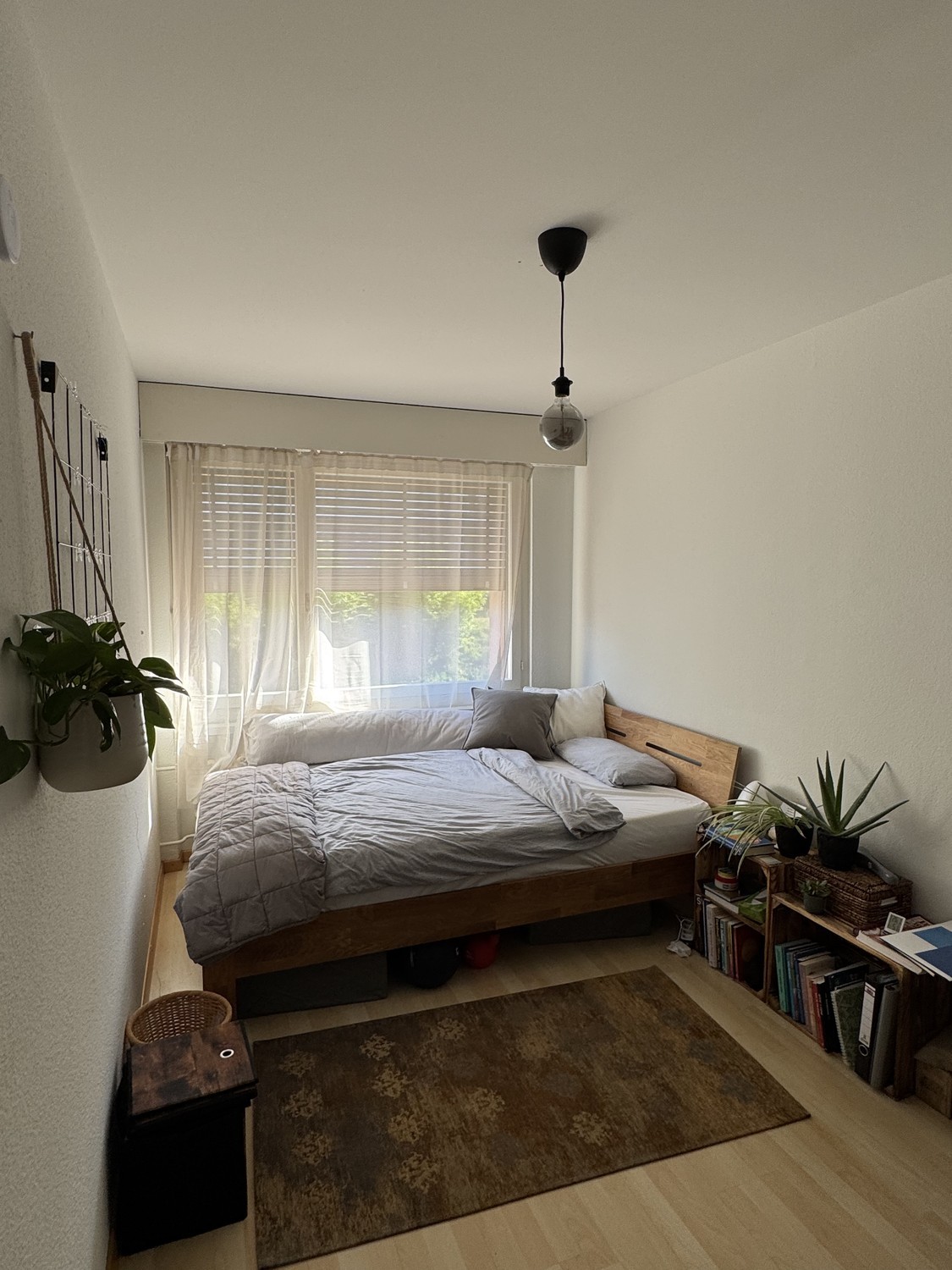 Chambre dans un appartement partagé