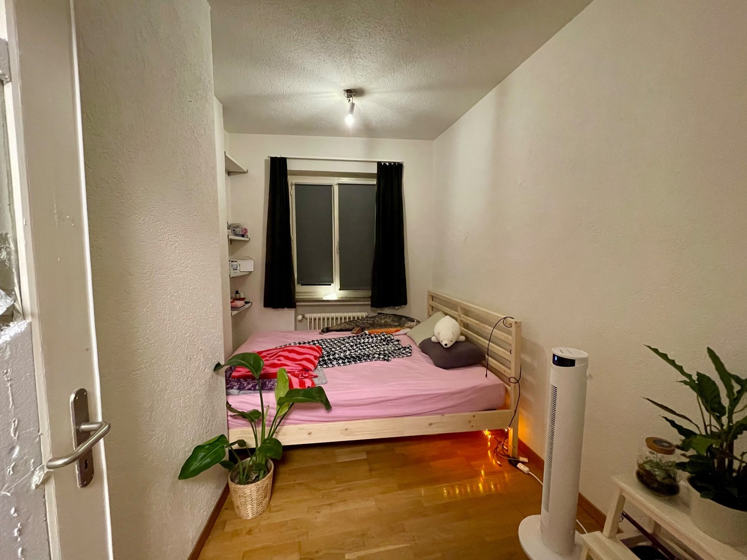 Room in a shared flat