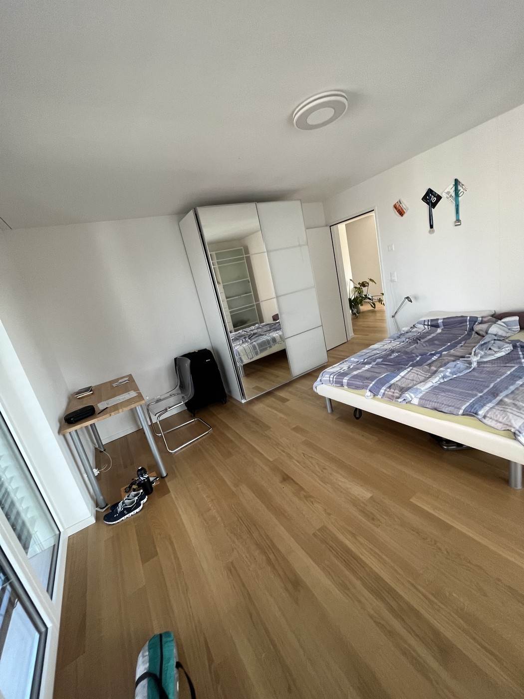 Room in a shared flat