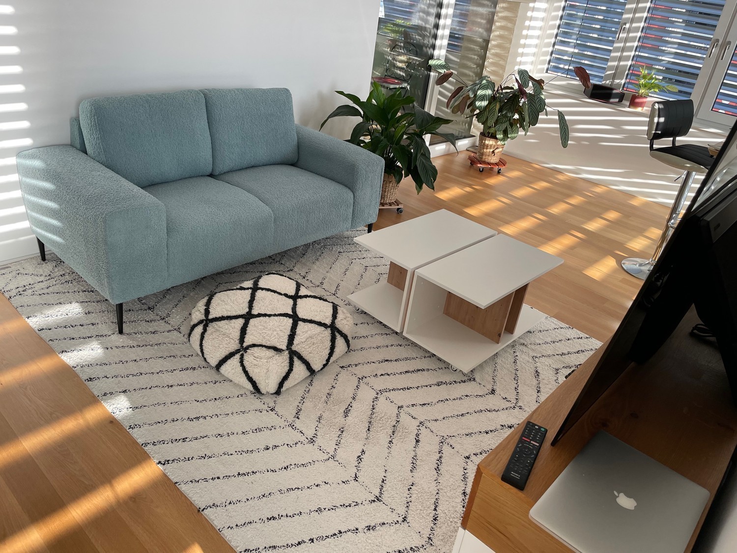Appartement de 2 ½ pièces