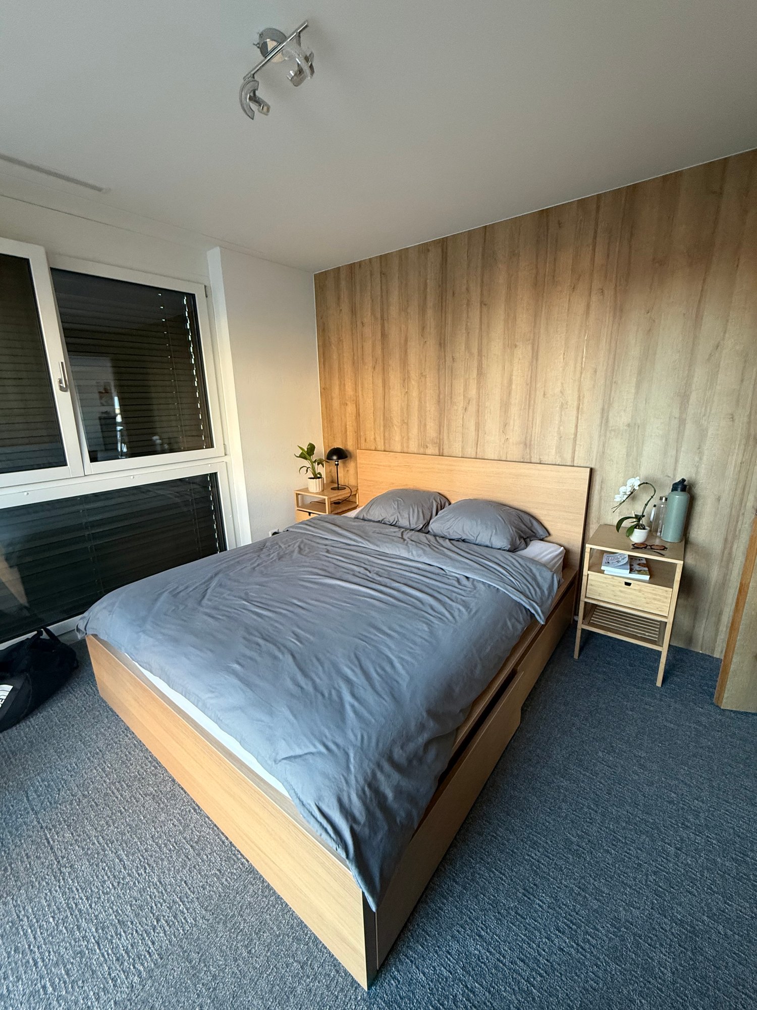 Room in a shared flat