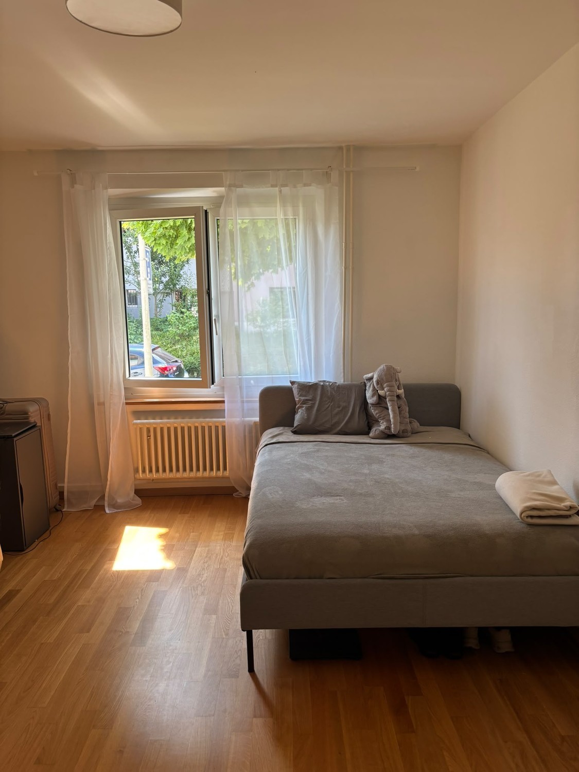 Room in a shared flat