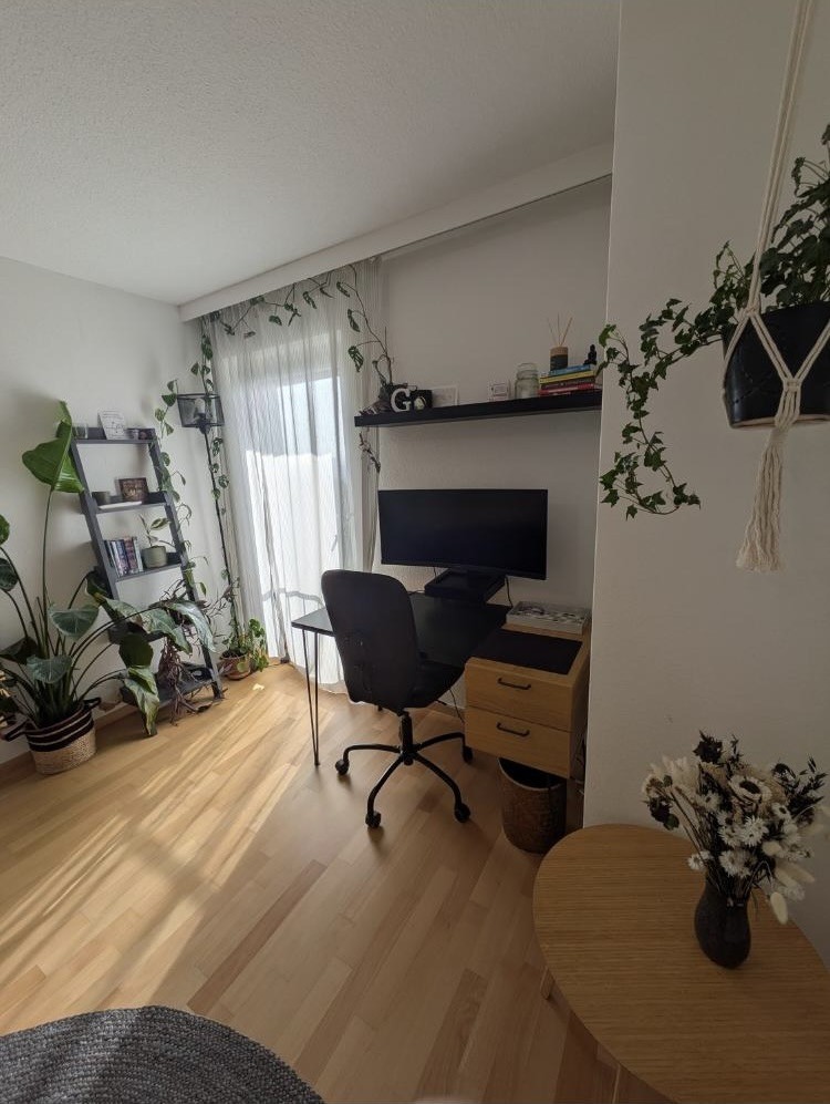 Room in a shared flat