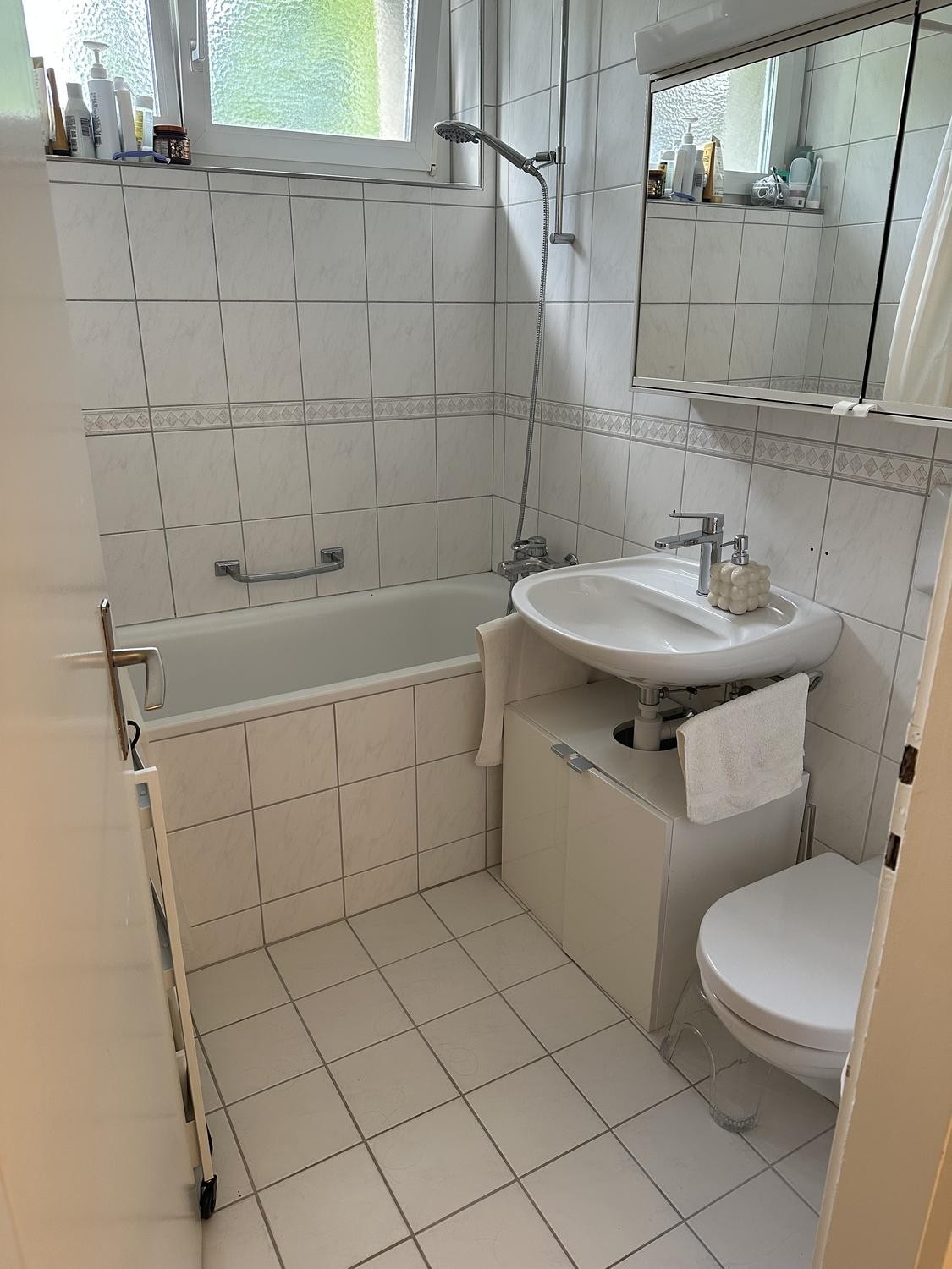 3 ½ Zimmer Wohnung