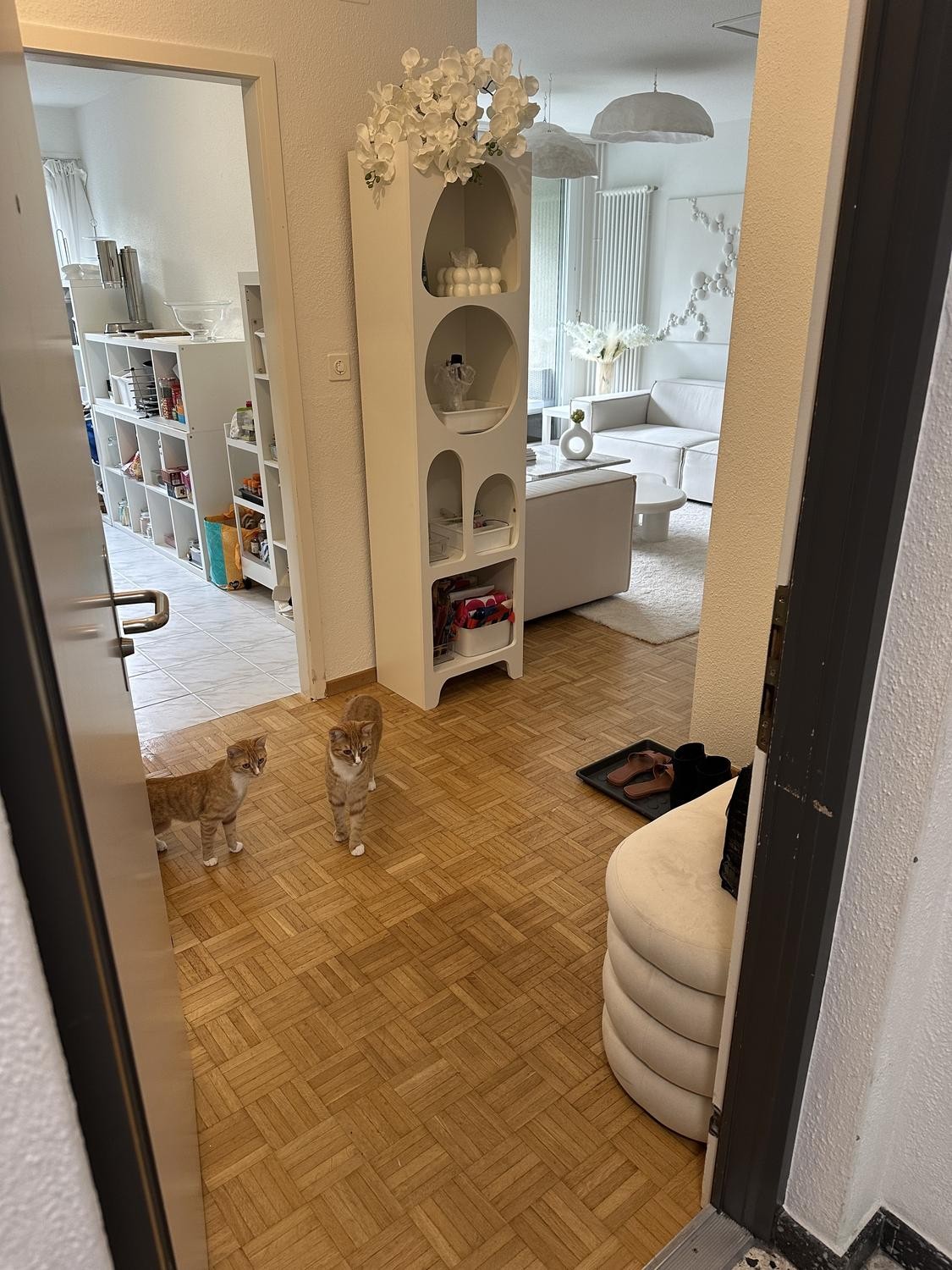 3 ½ Zimmer Wohnung