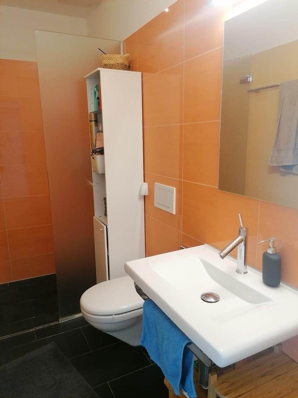 Room in a shared flat