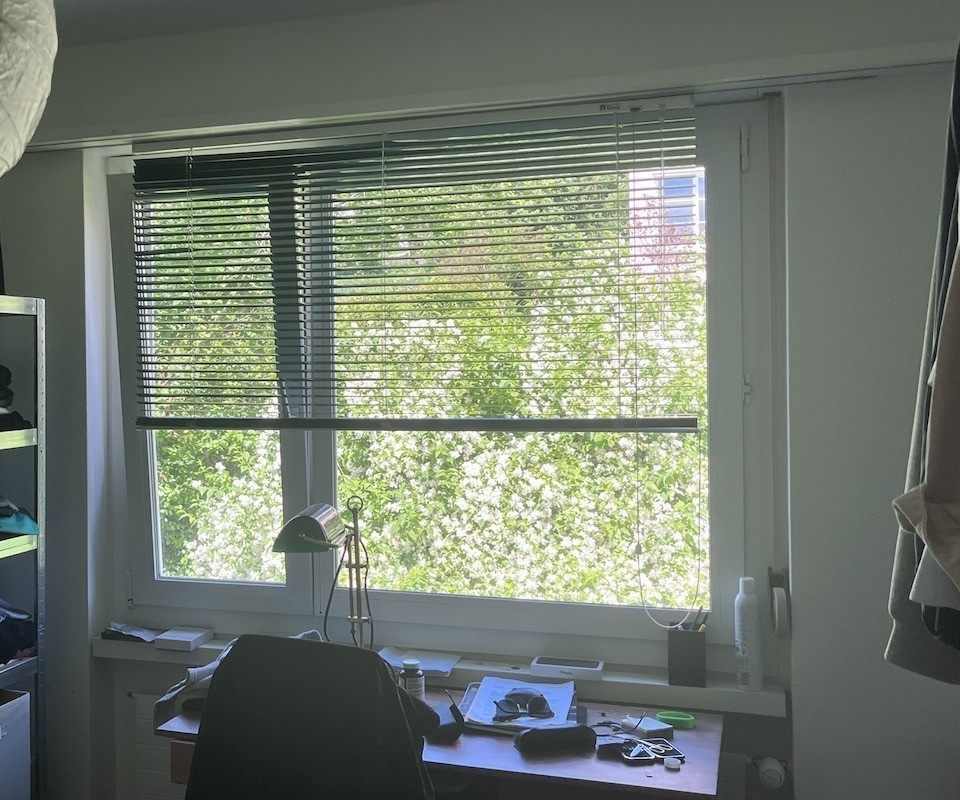 Room in a shared flat