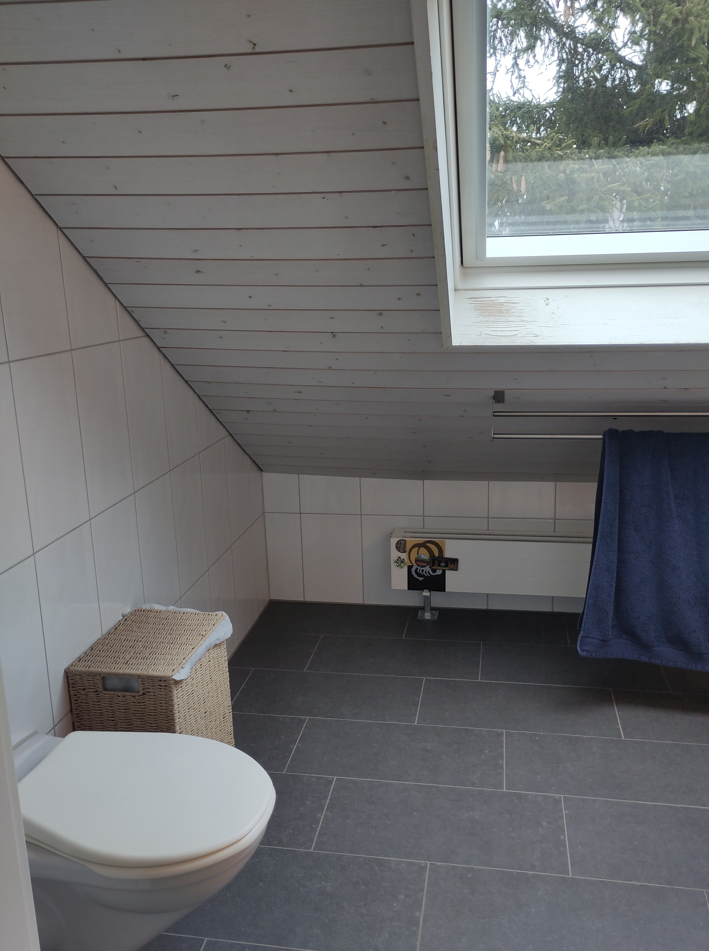 Room in a shared flat