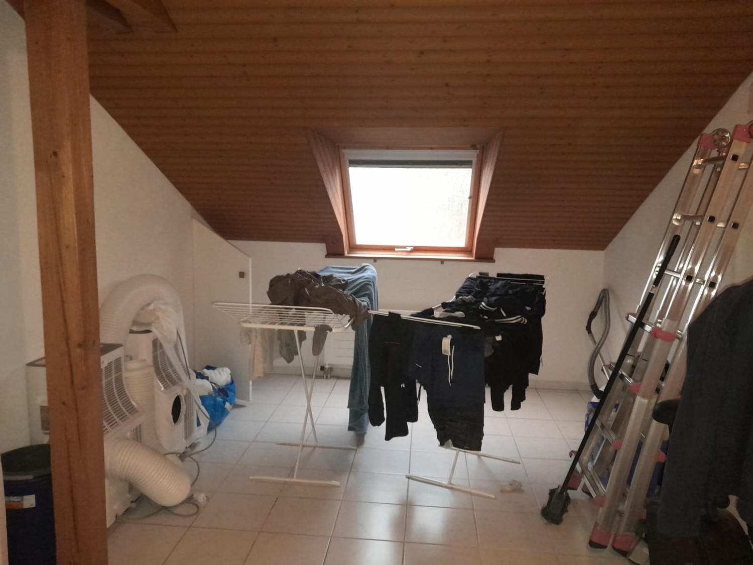 Room in a shared flat