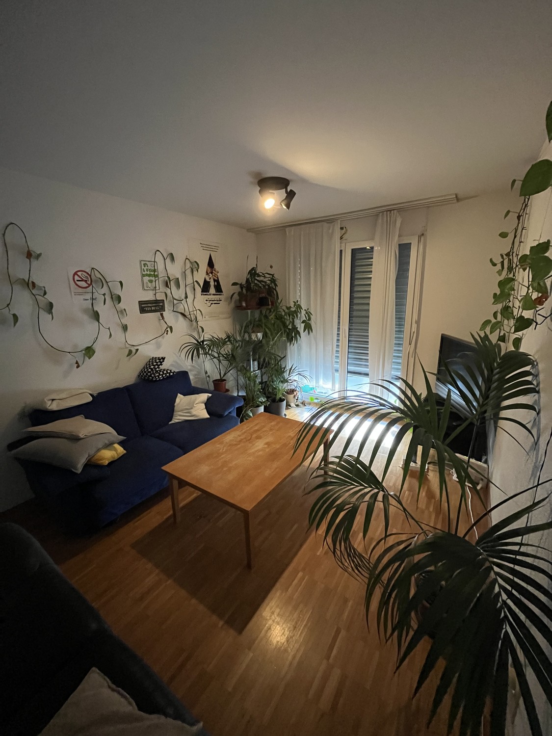 Chambre dans une colocation