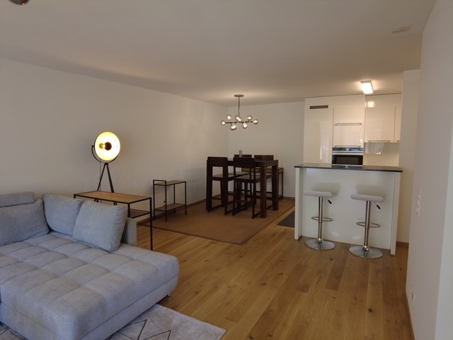 3 ½ Zimmer-Wohnung