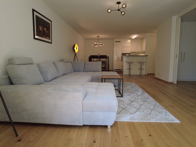 3 ½ Zimmer-Wohnung