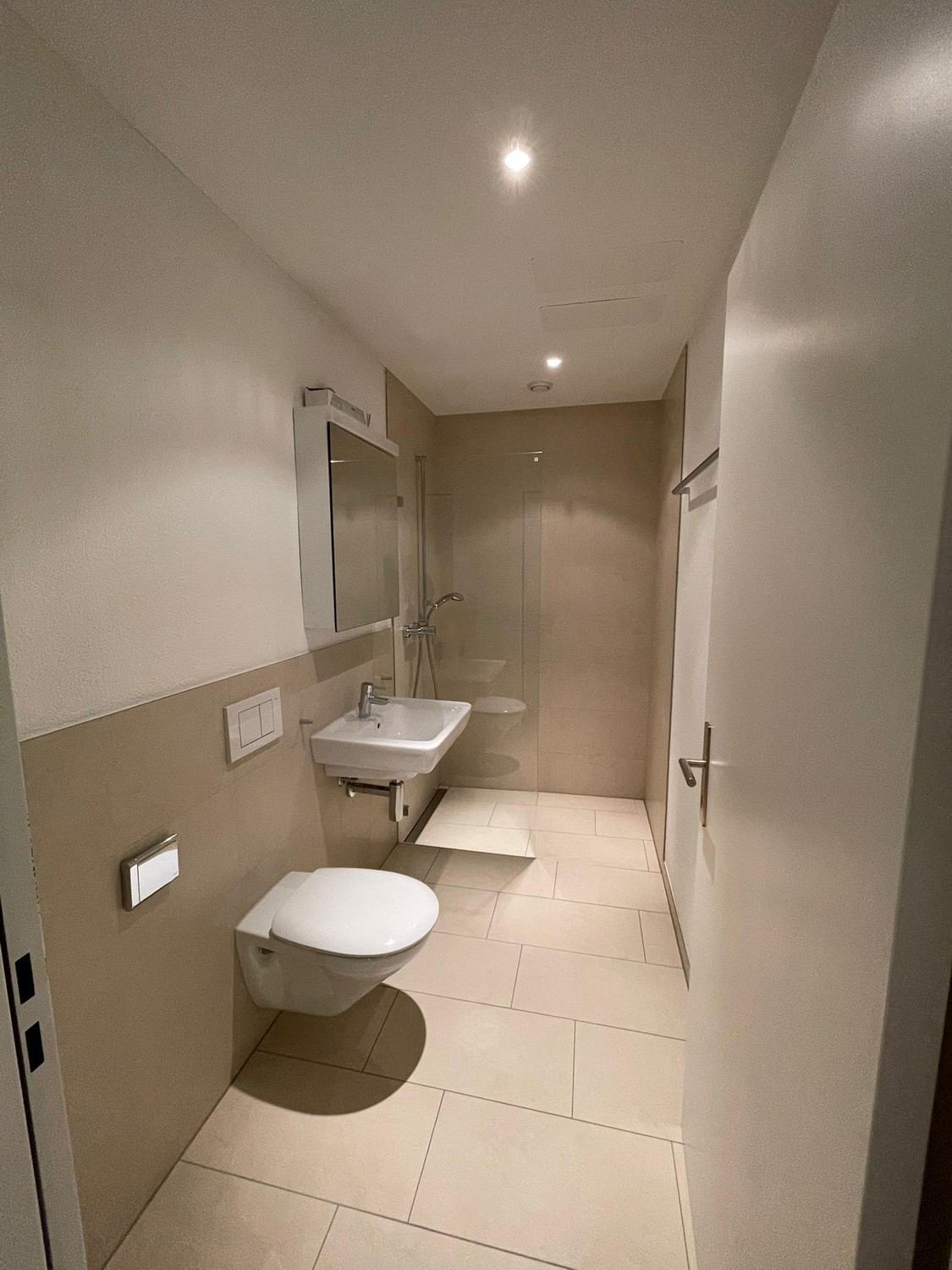 Appartement de 3 ½ pièces