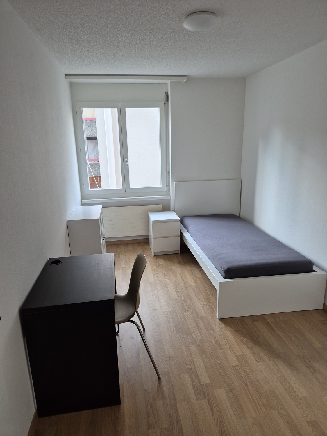 Room in a shared flat