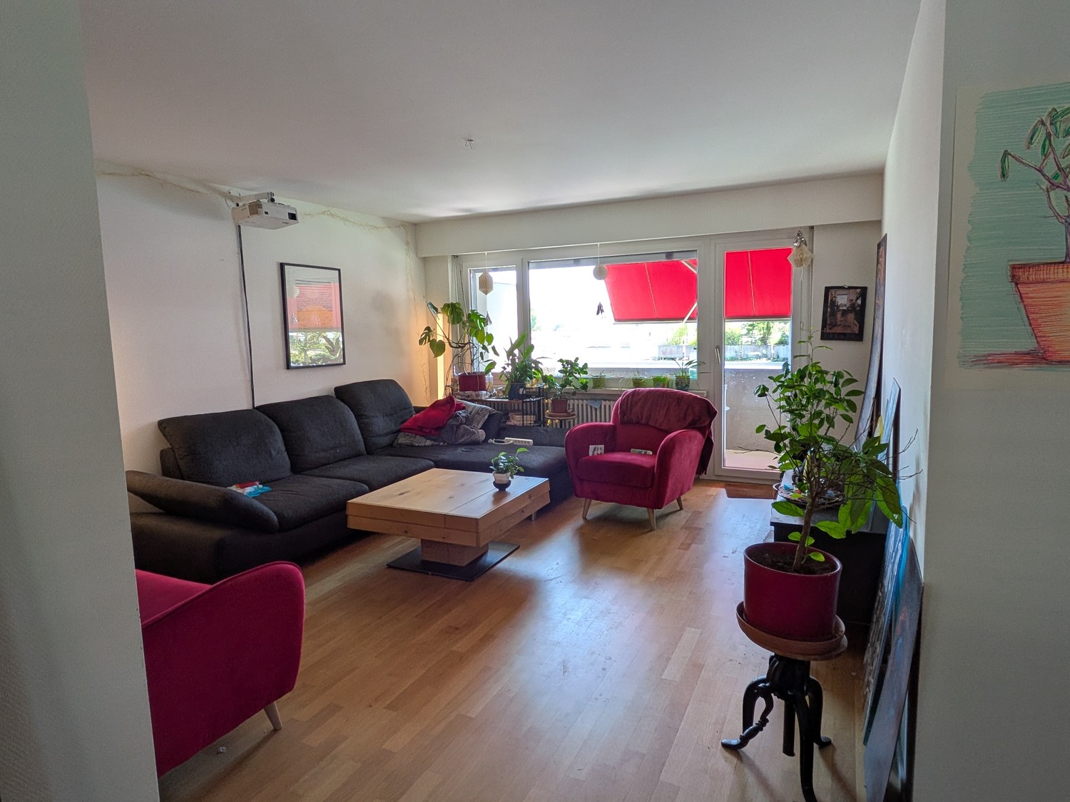 Room in a shared flat