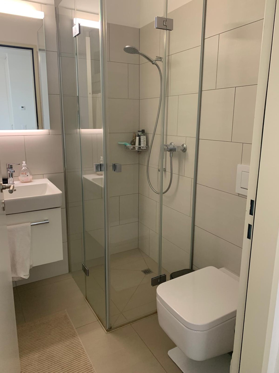 Appartement de 2 ½ pièces