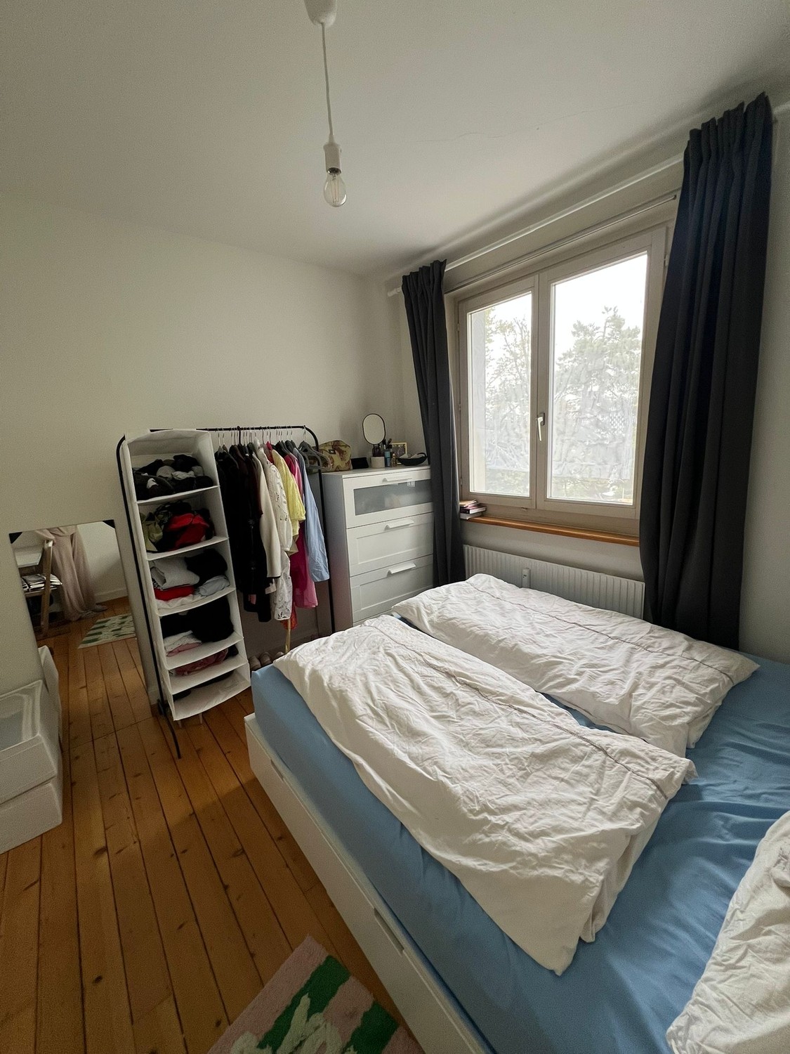Room in a shared flat
