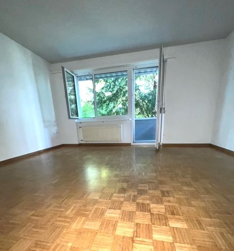 1 room apartment