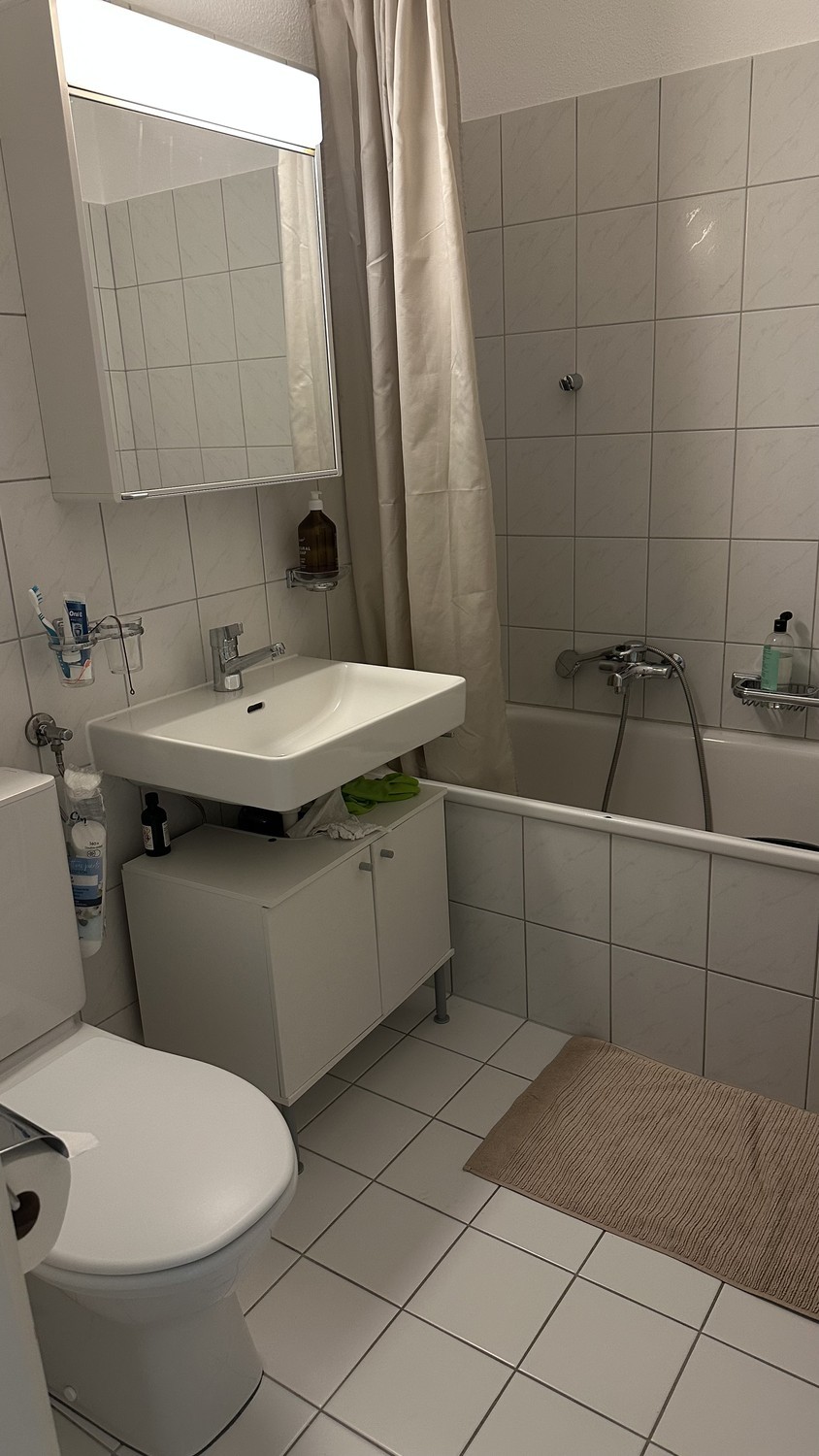 2 ½ rooms apartment