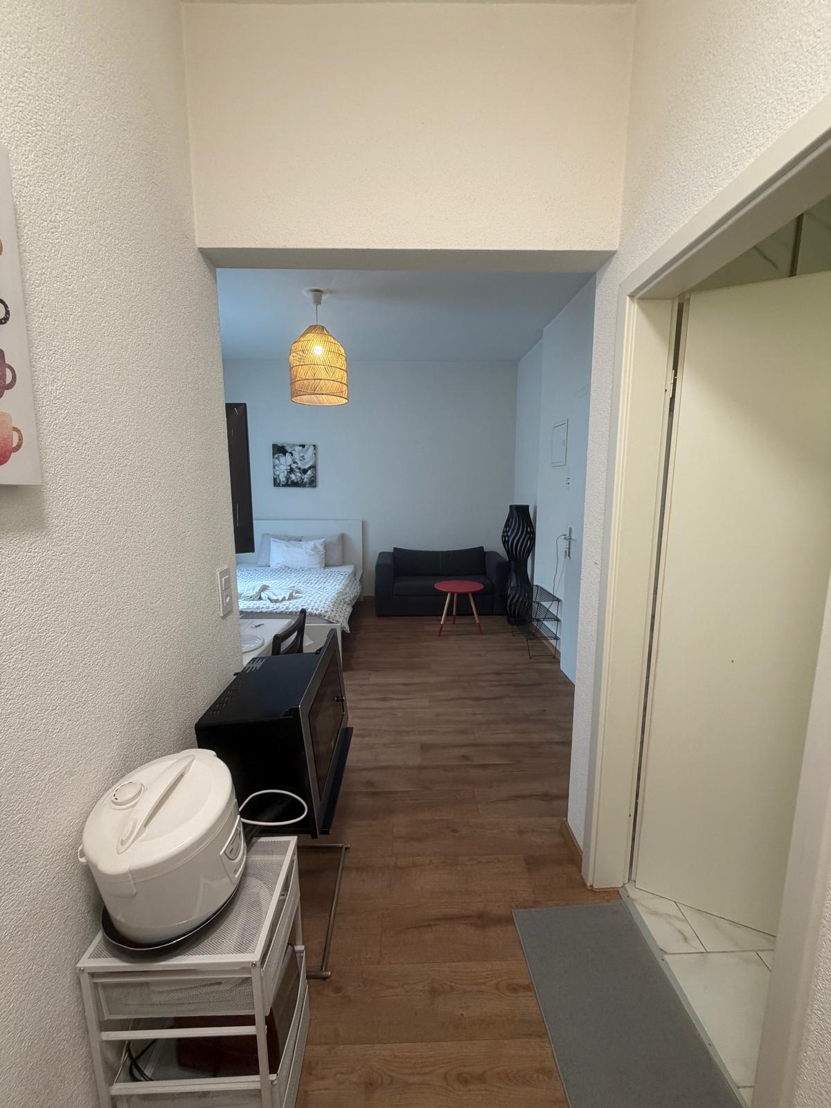 1 room furnished flat