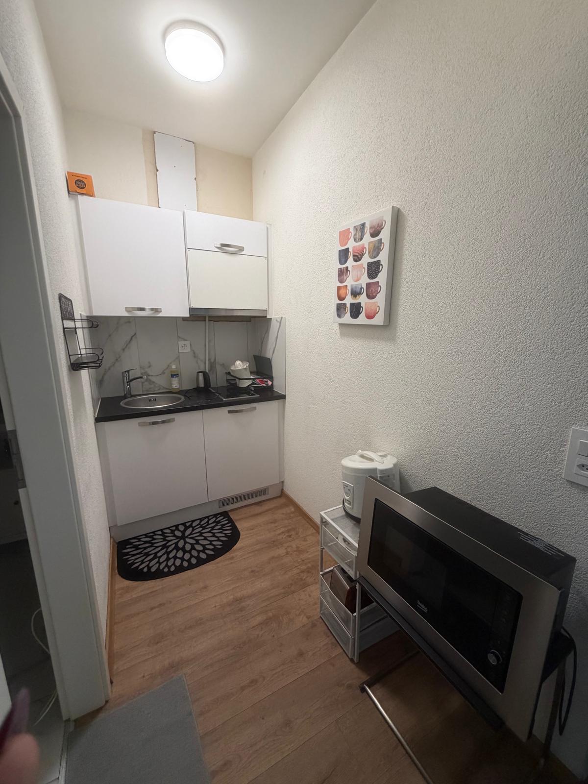 1 room furnished flat