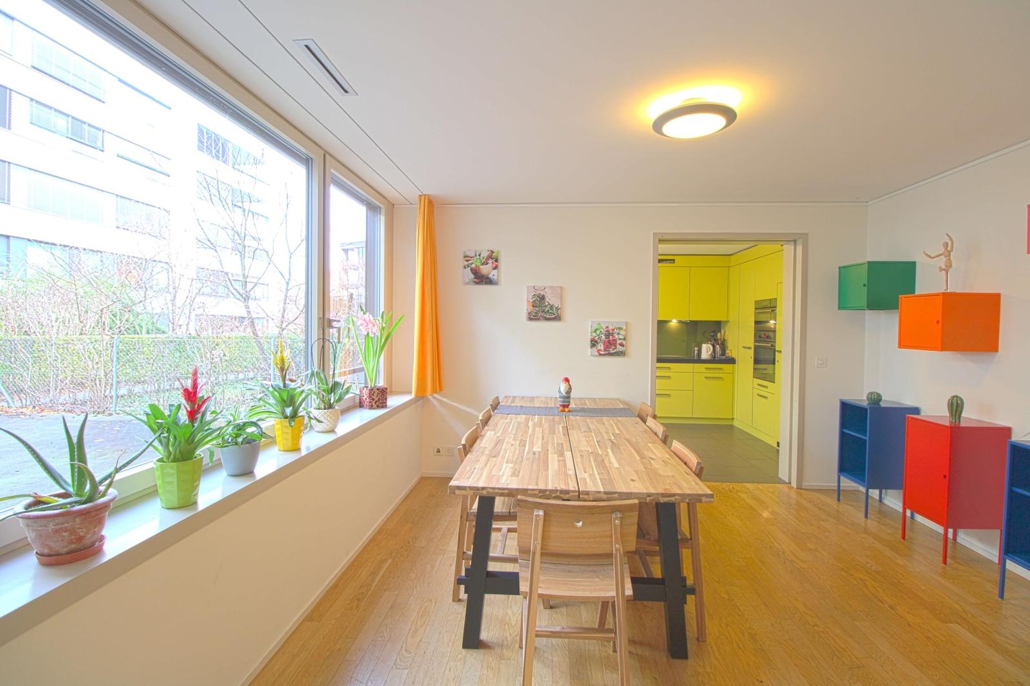 Room in a shared flat