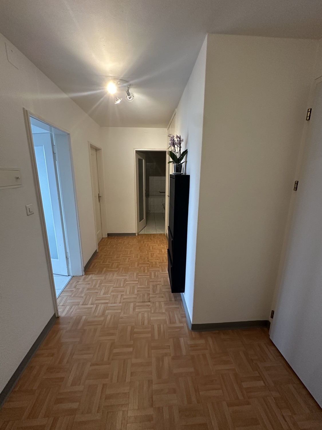 Appartement de 2 ½ pièces