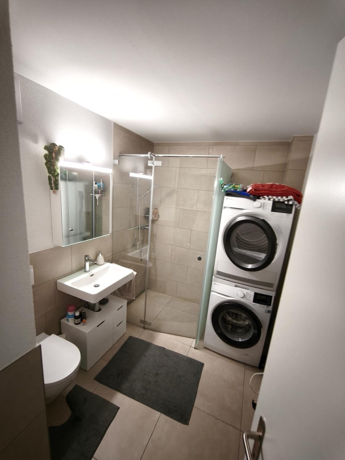 2 ½ rooms apartment