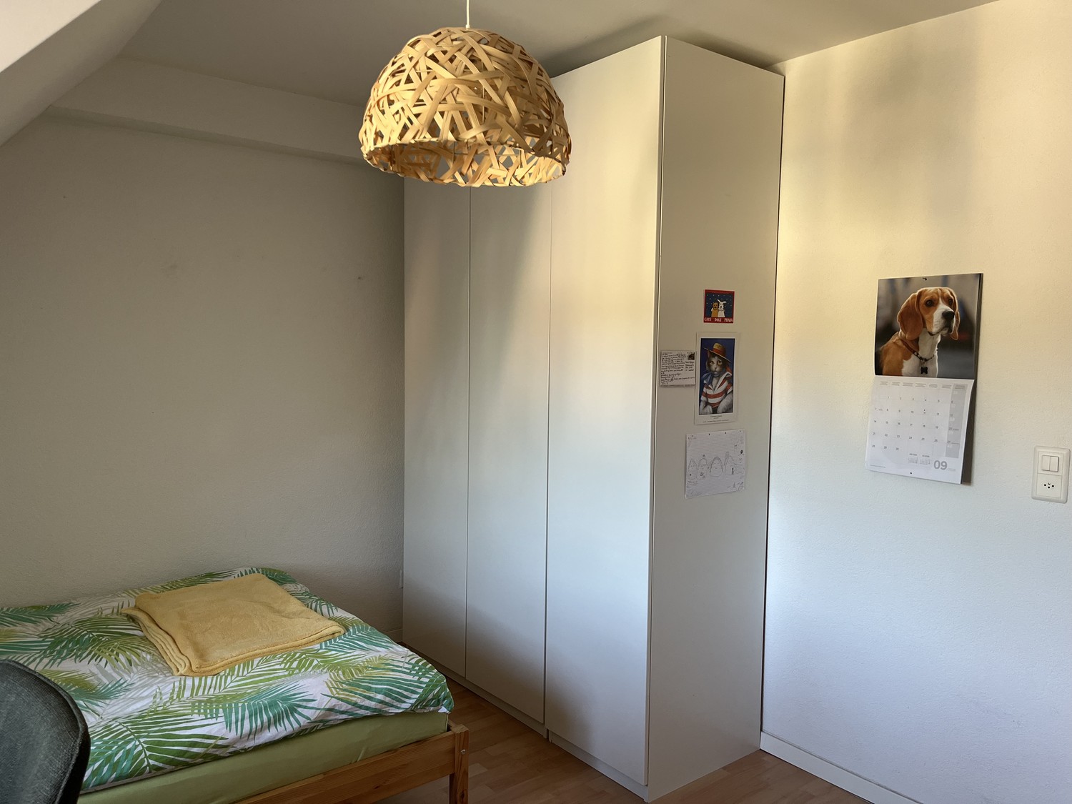 Room in a shared flat