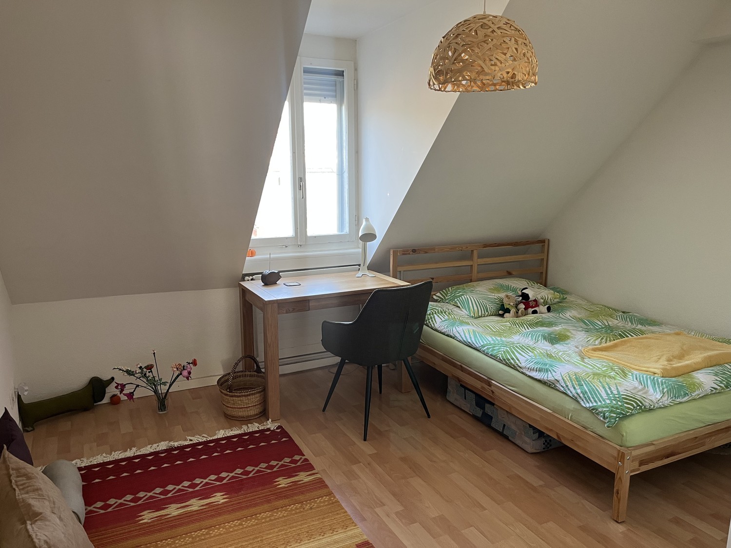 Room in a shared flat