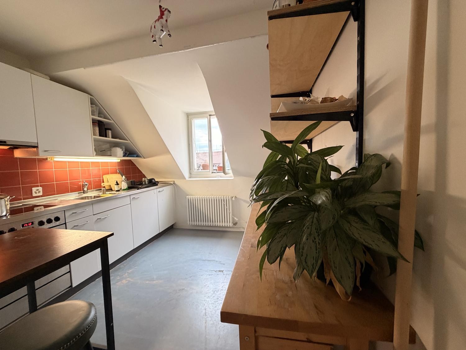 Room in a shared flat