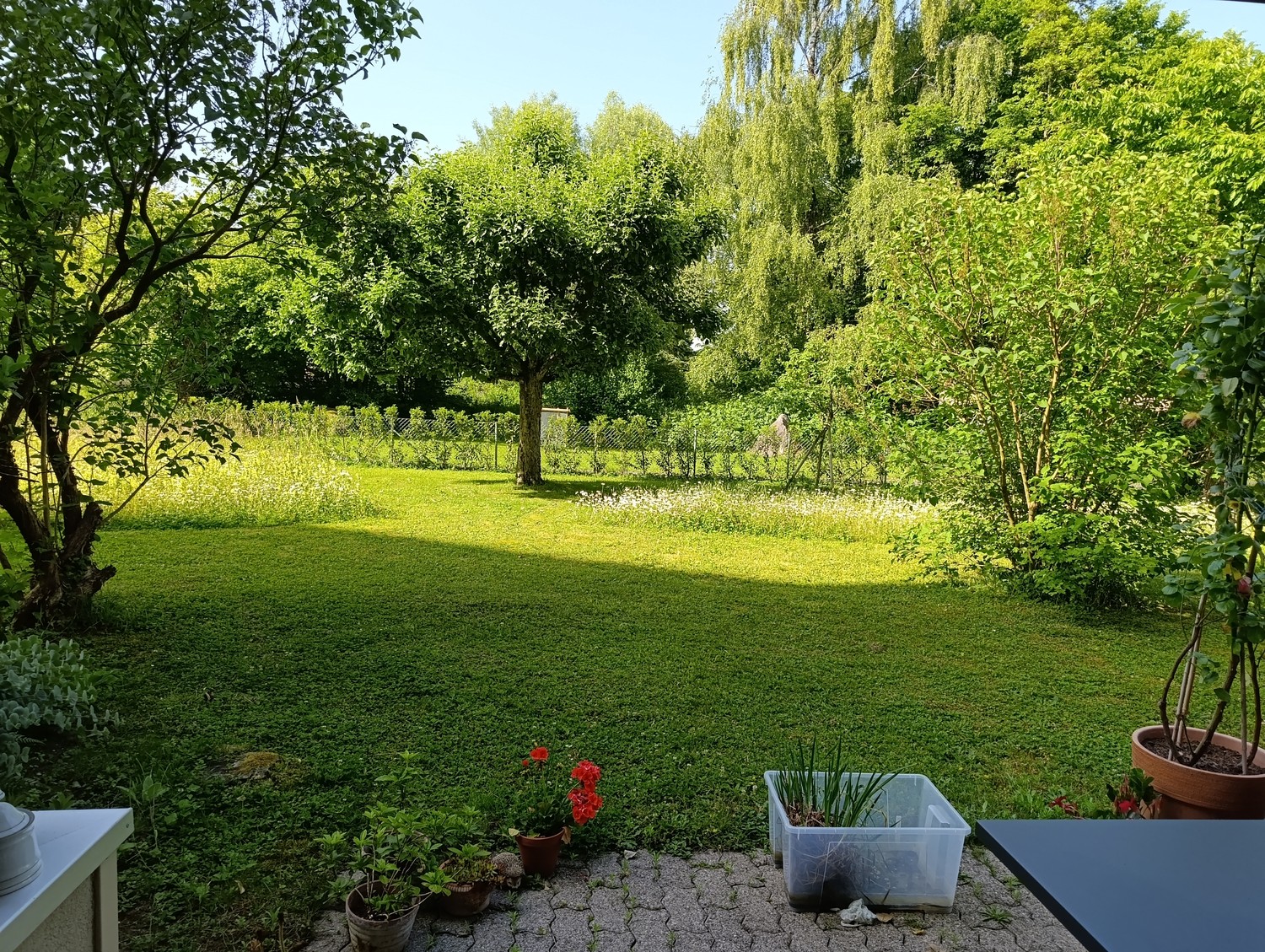 2 ½ rooms apartment